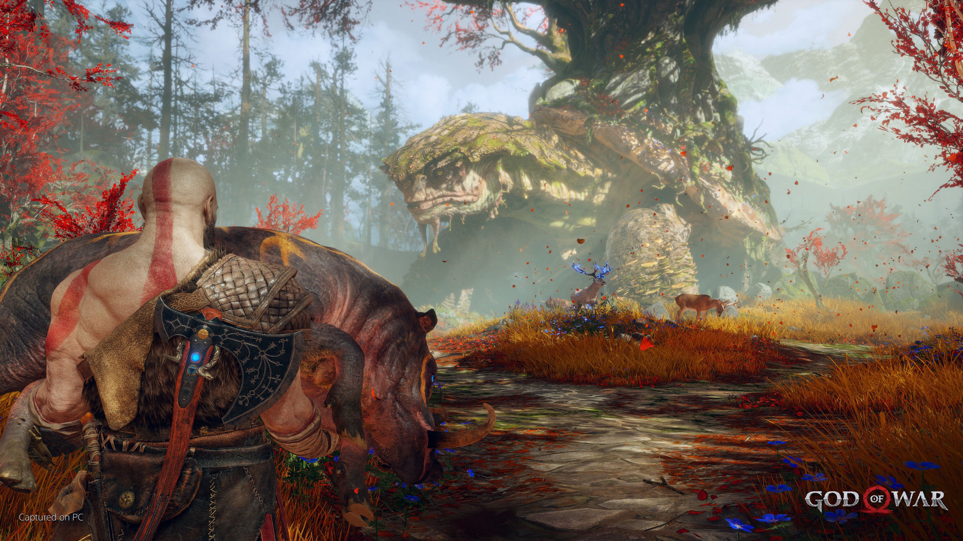 God of War на ПК.
Источник: Steam