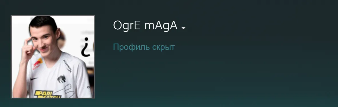 Профиль Mira в Steam