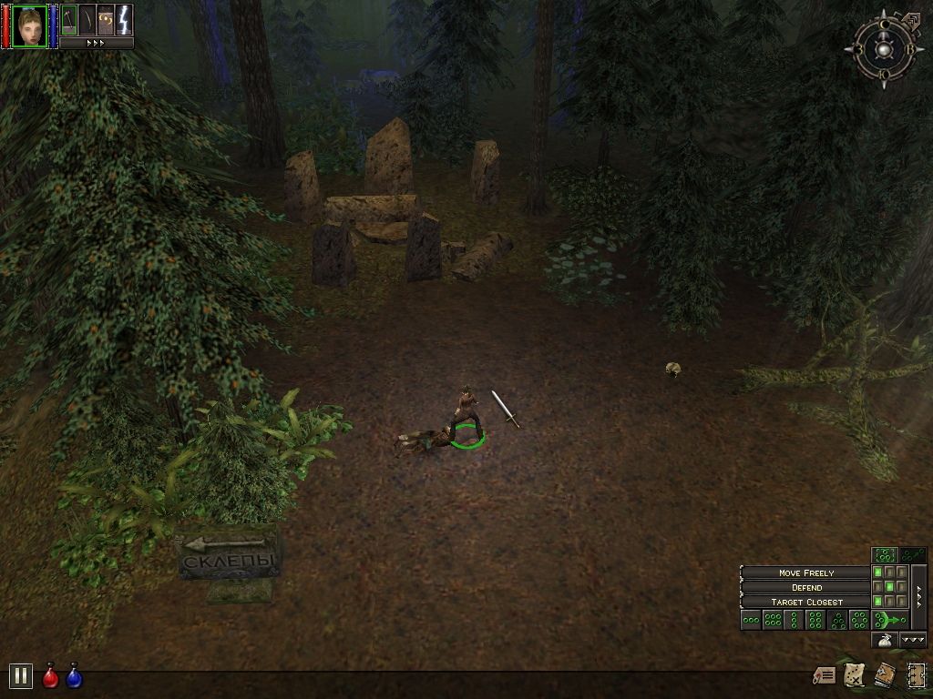 Dungeon Siege