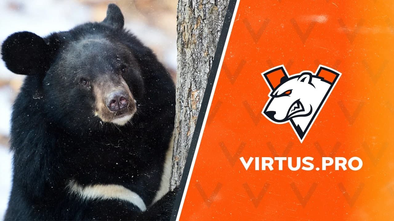 Источник: Virtus.pro