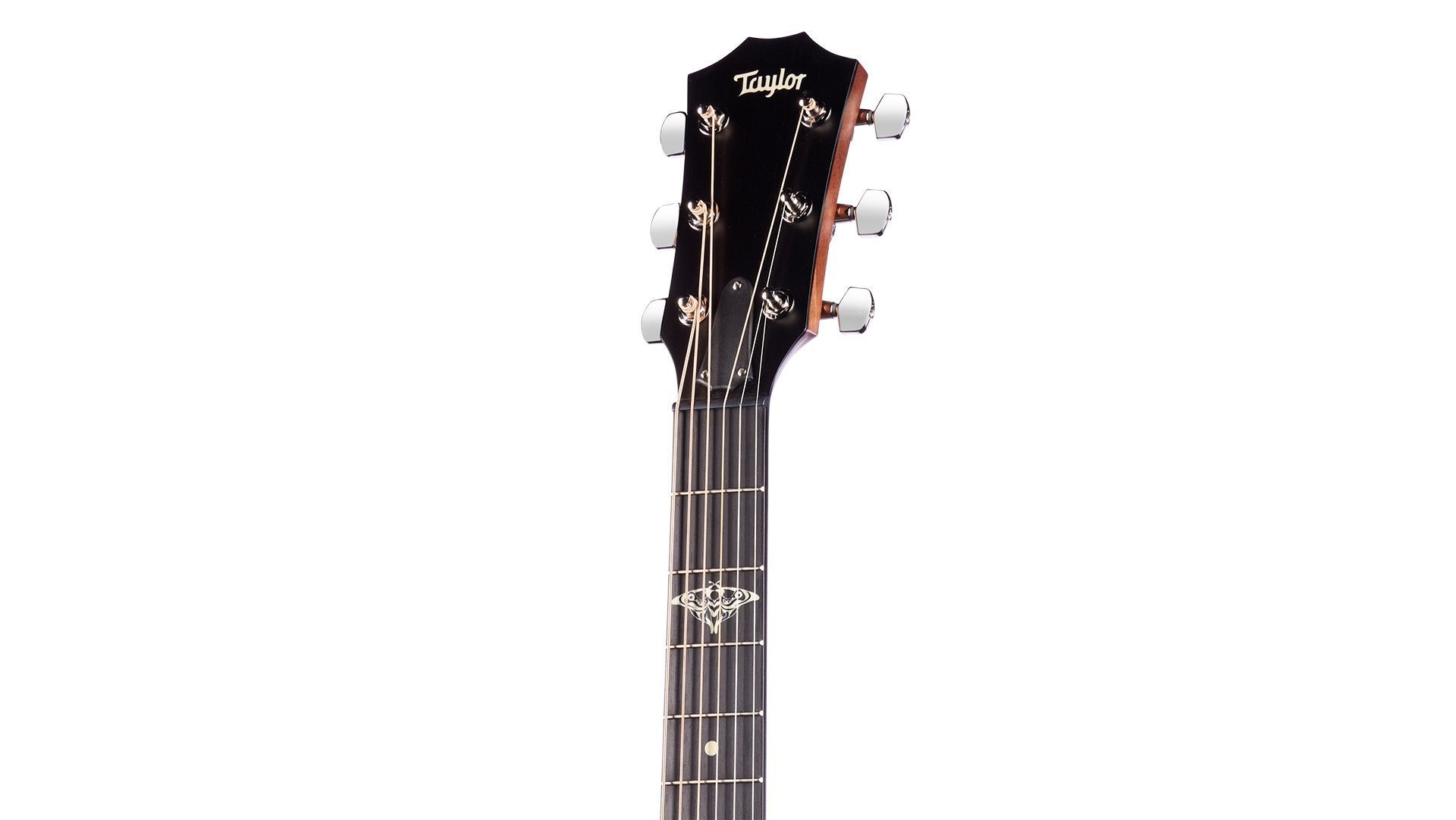 Источник: taylorguitars.com