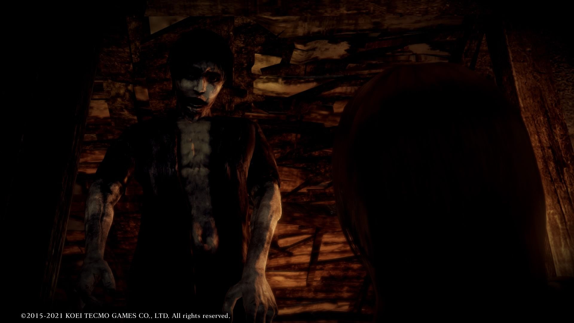 Кадр из Fatal Frame: Maiden of Black Water