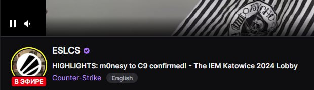 Источник: Twitch-канал ESLCS
