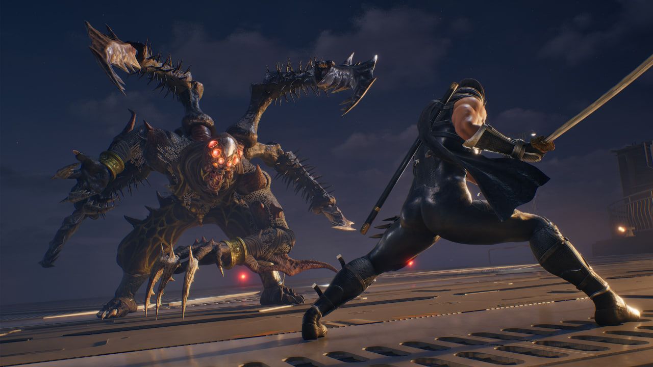 Скриншот из Ninja Gaiden 2 Black.