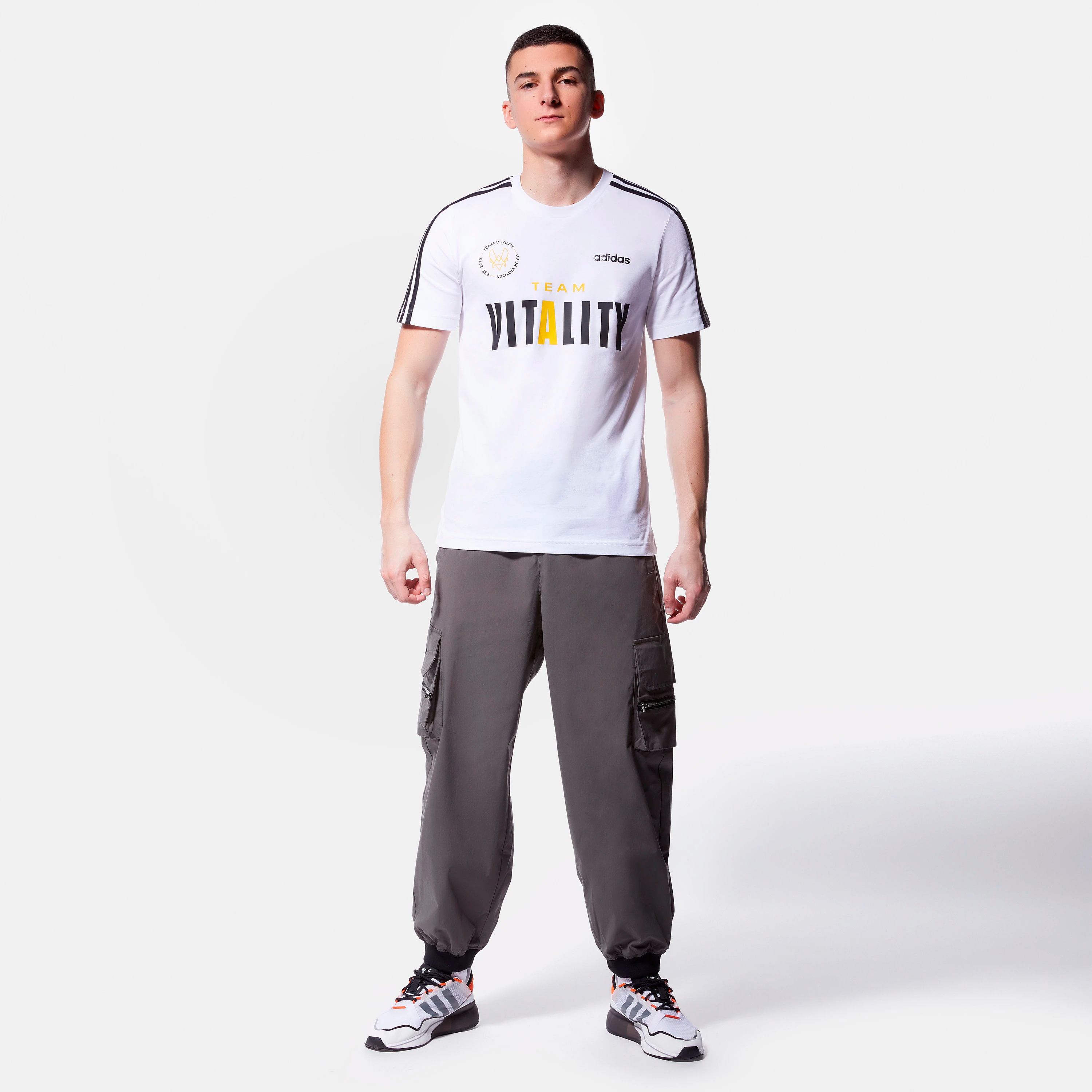 Источник: shop.vitality.gg