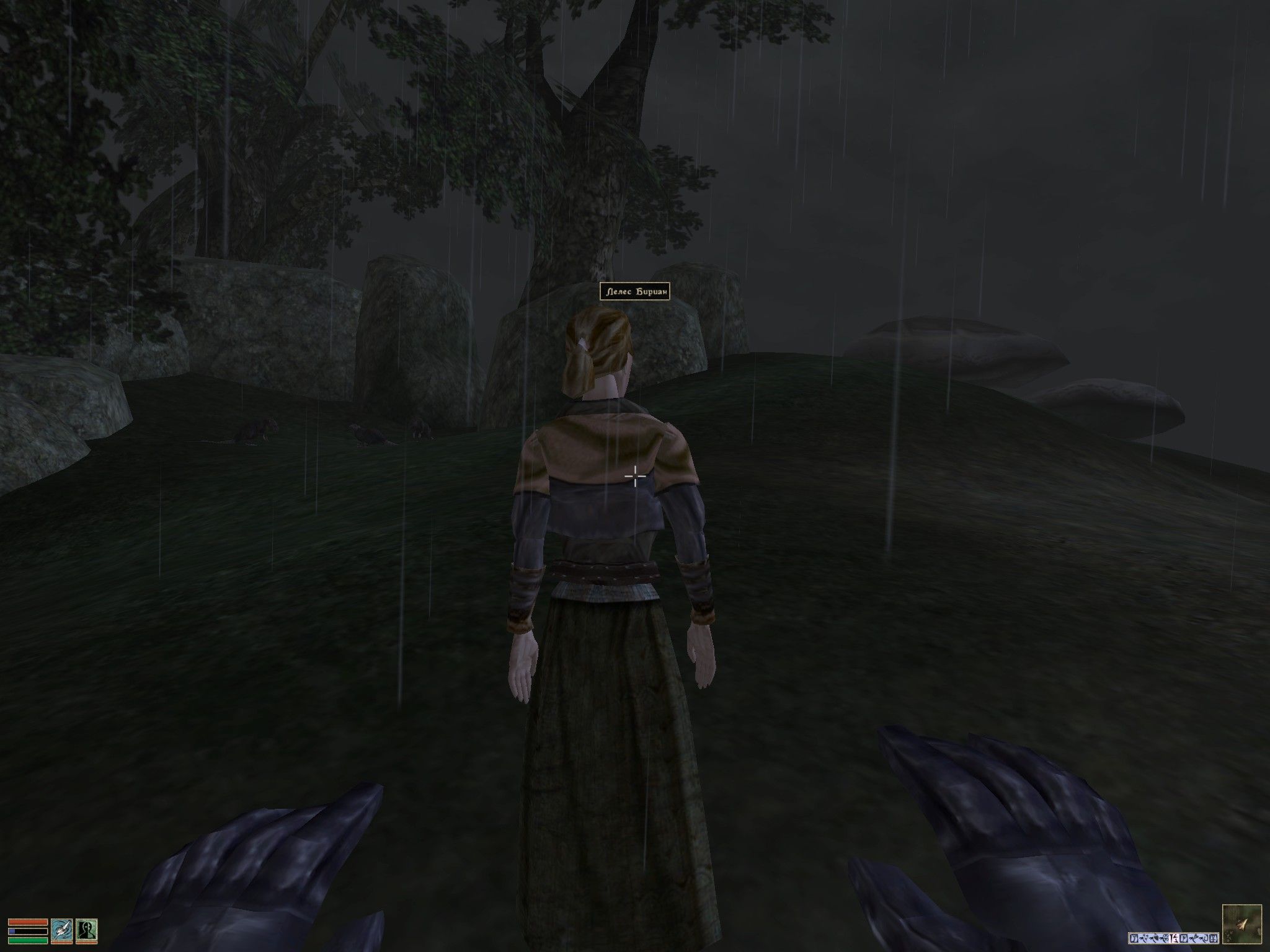 The Elder Scrolls III: Morrowind