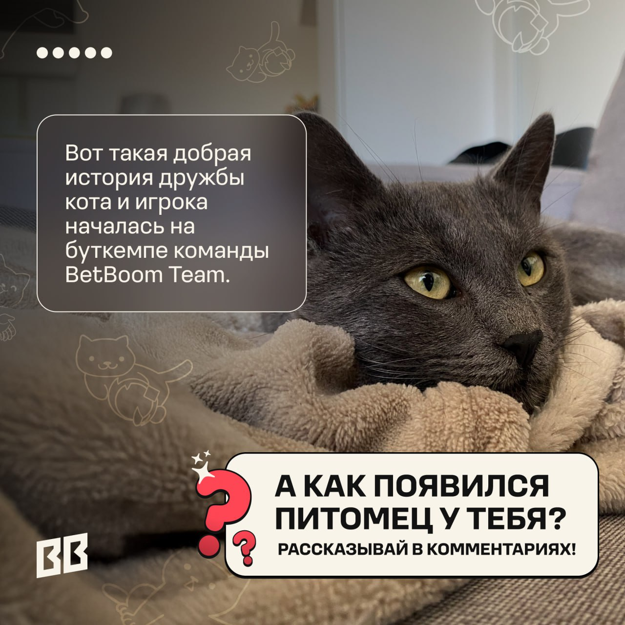 Источник: канал BetBoom Team в Telegram