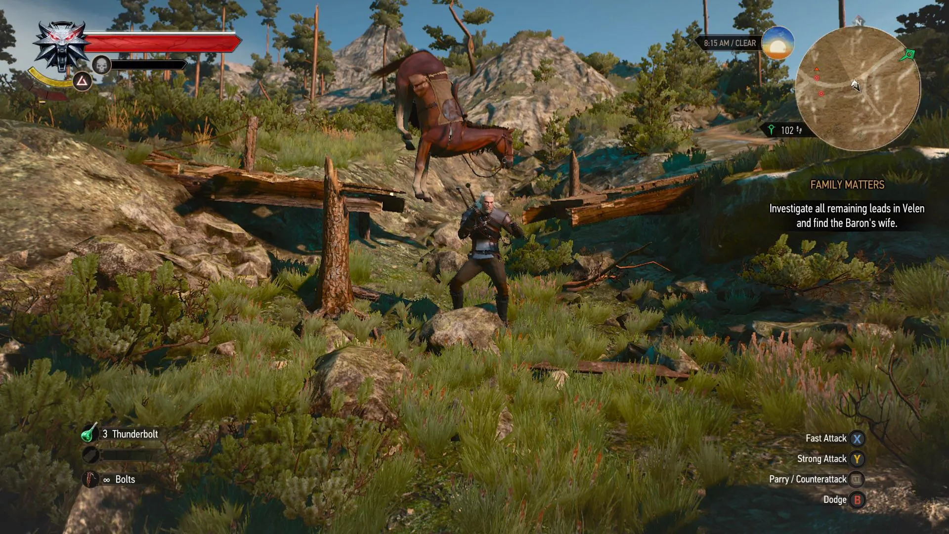 Скриншот из The Witcher 3: Wild Hunt