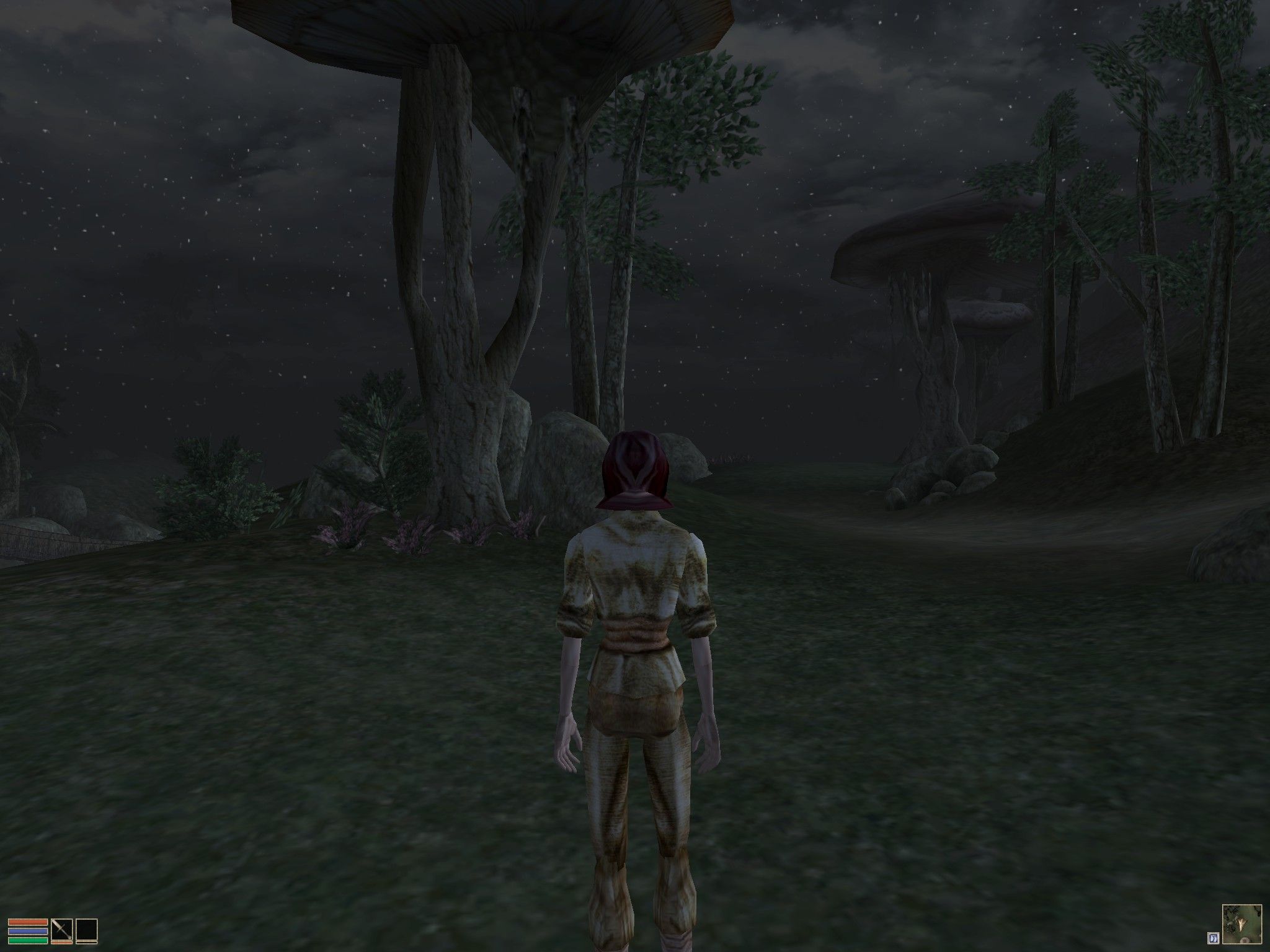 The Elder Scrolls III: Morrowind