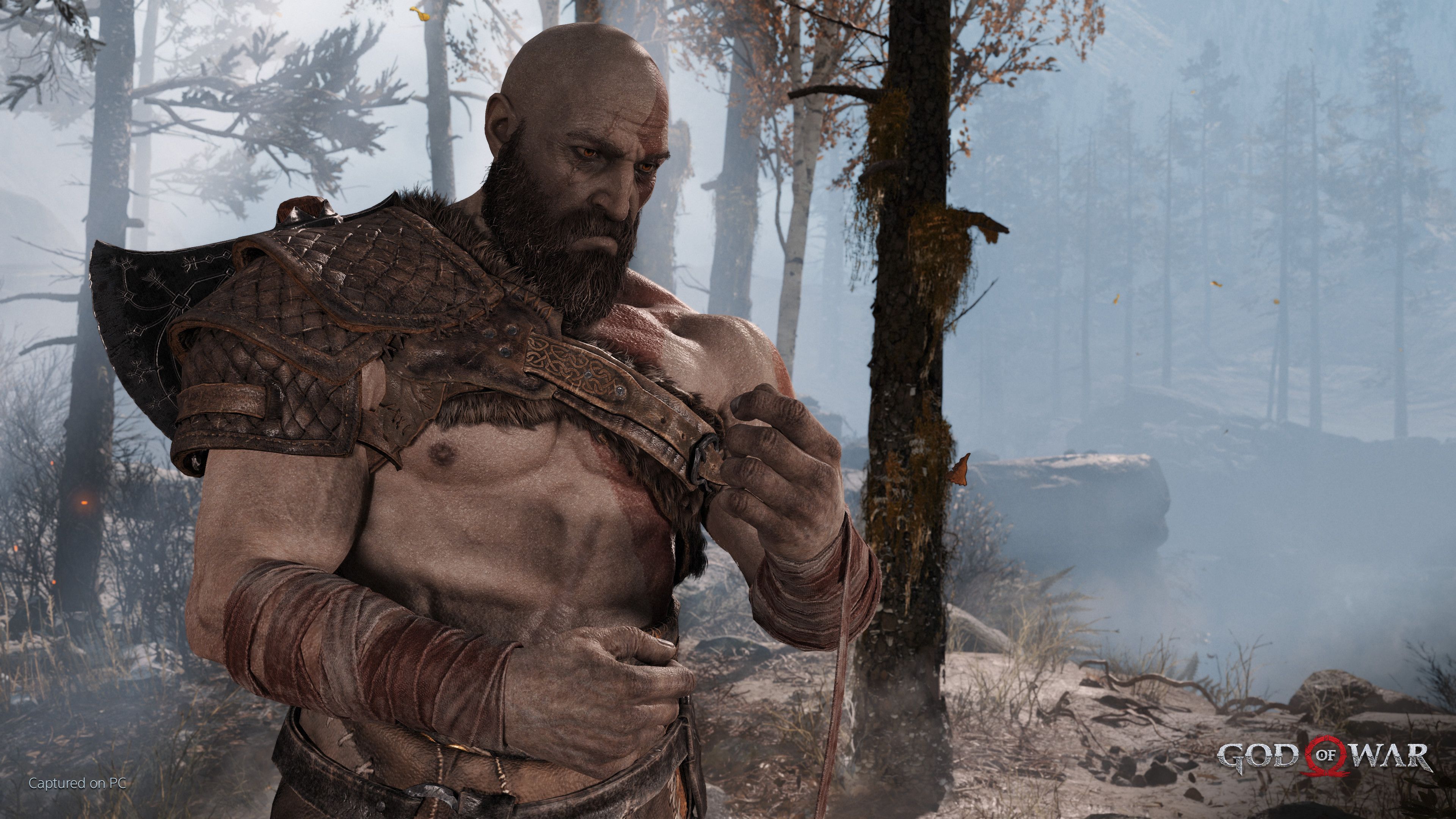 God of War на ПК.
Источник: Steam