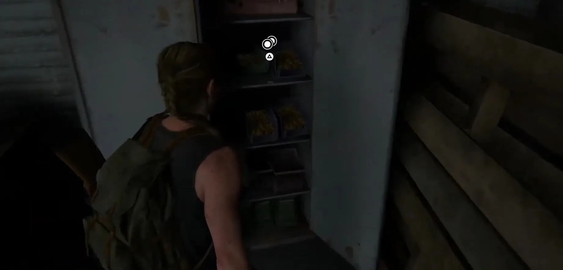 Скриншот из игры The Last of Us Part II