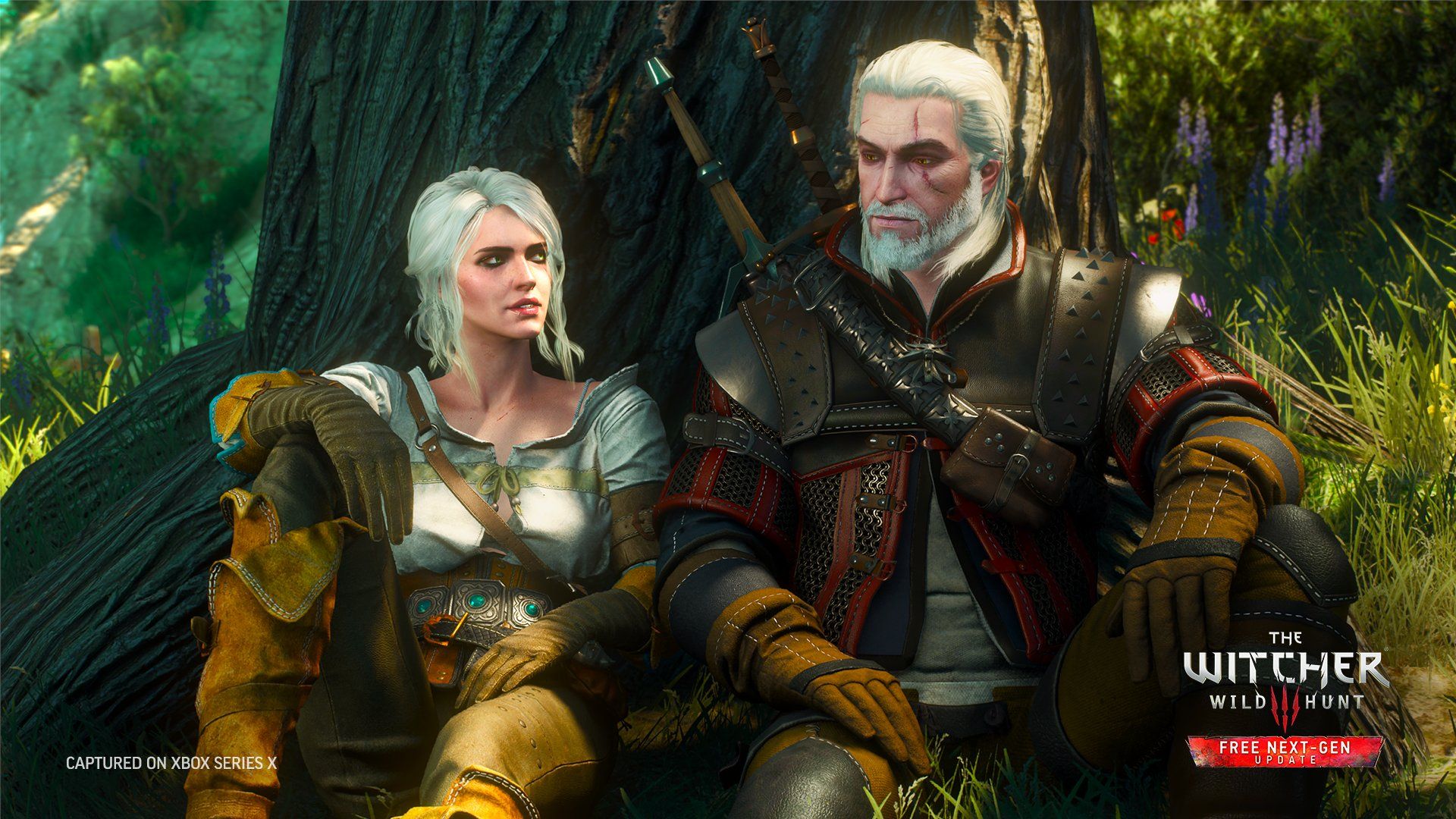 Источник: твиттер The Witcher