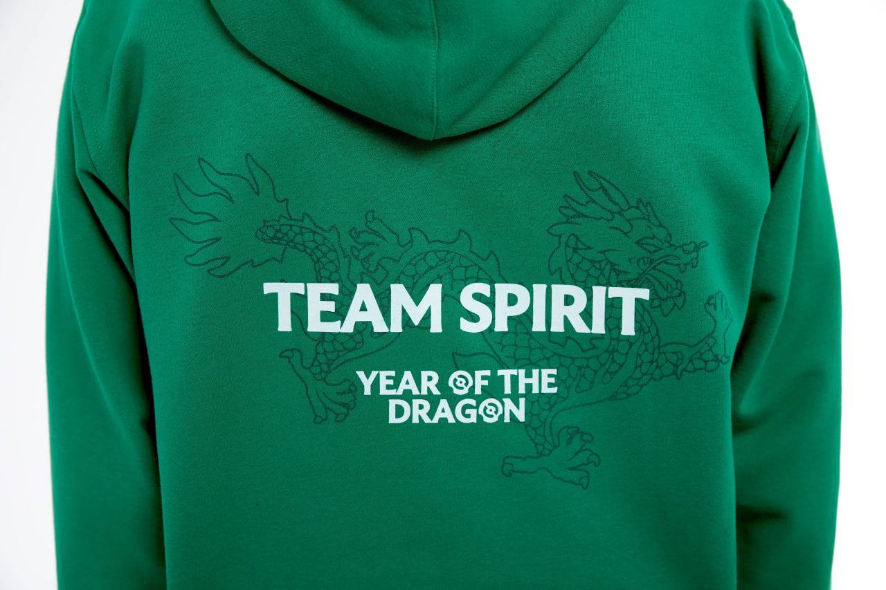 Источник: сайт Team Spirit