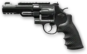 S&amp;W M&amp;P R8