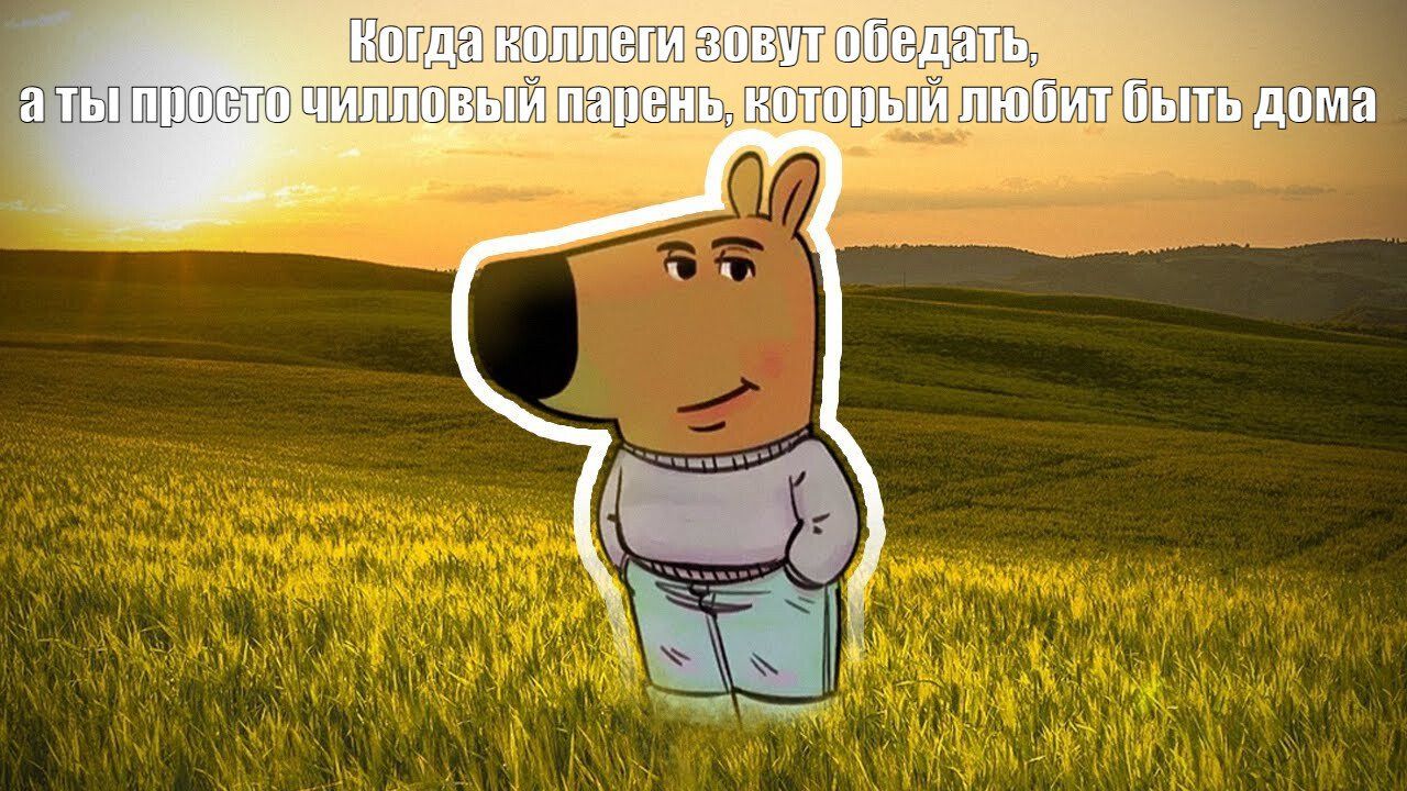 Я просто чилловый парень — что за мем?