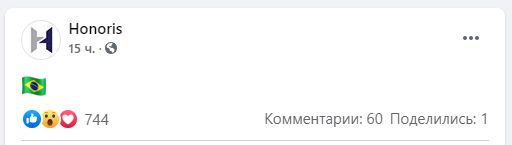 Представители HONORIS опубликовали флаг Бразилии в группе в Facebook