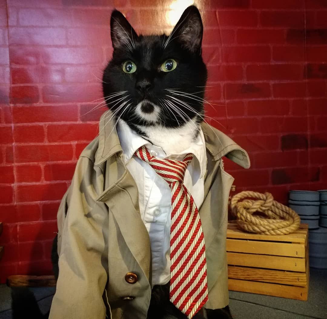 Косплей на Джона Блэксада. Автор и источник: twitter.com/Cat_Cosplay