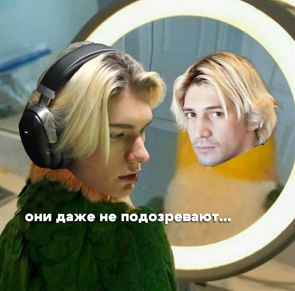 Мем о сходстве xQc и w0nderful