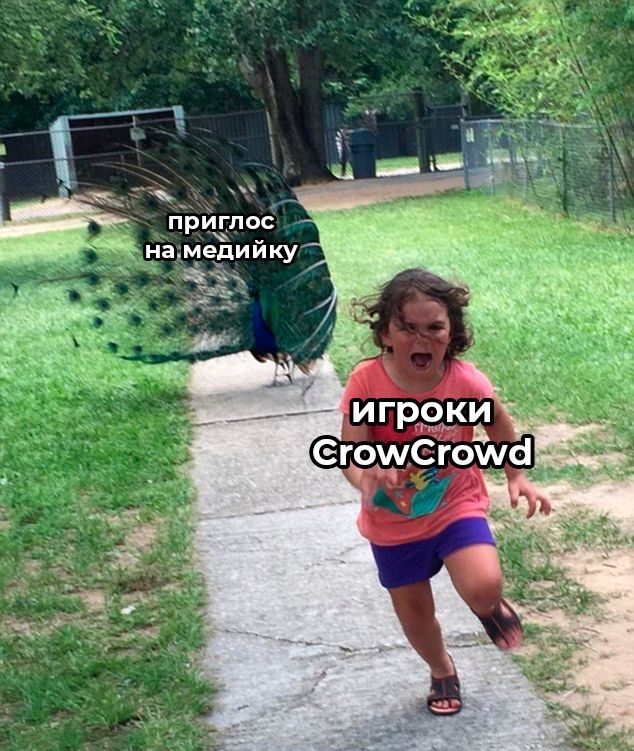 Источник: vk.com/crowcrowd