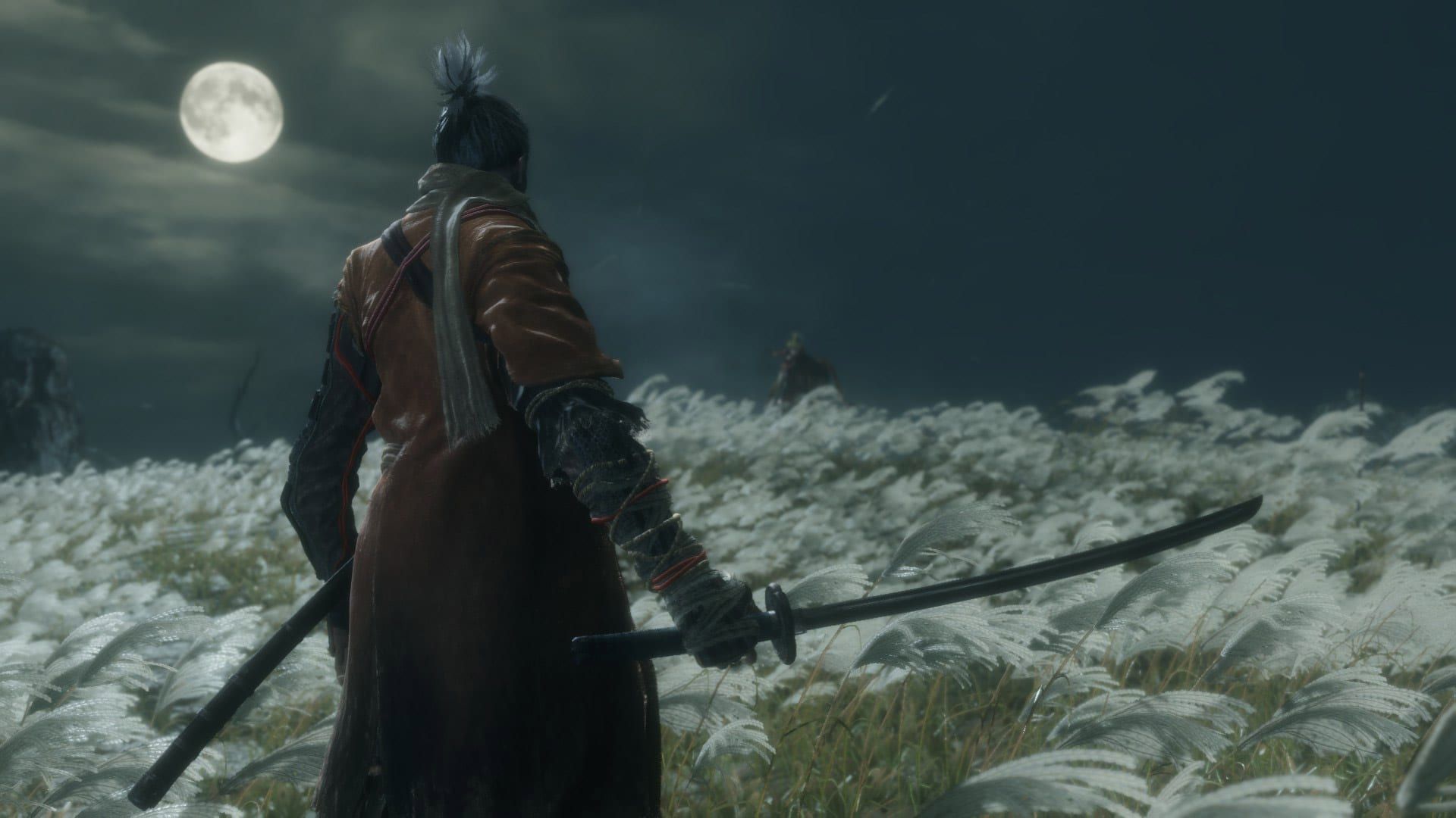 Sekiro: Shadows Die Twice