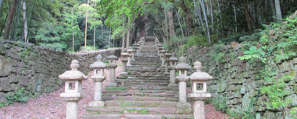 Источник: nagasaki-tabinet.com/