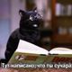 catquisition