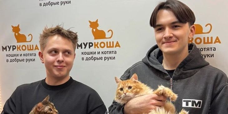 Сenra: «MieRo — это просто золотой человек. Он самый добрый дотер, которого я встречал»