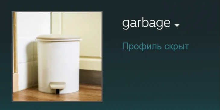MinD_ContRoL взял ник «Мусор» и сменил аватарку на мусорное ведро в Steam — ранее Nigma Galaxy вылетела из BetBoom Xmas Show