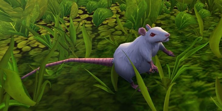Игрок показал, как убить толпу врагов одним ударом в World of Warcraft