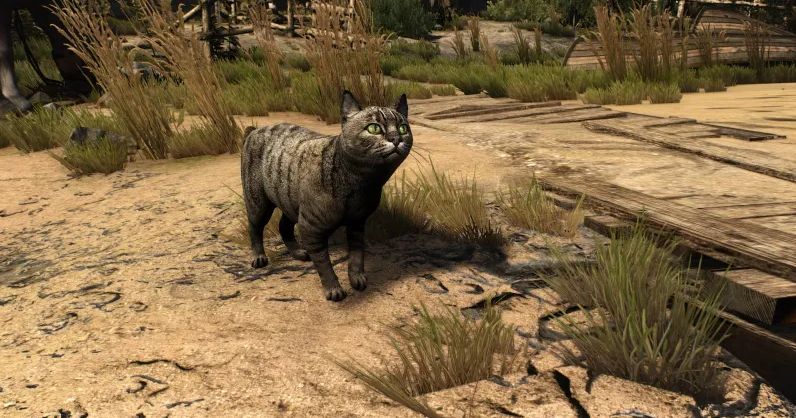 Коты и коровы в hd — вышел мод для the witcher 3: wild hunt c улучшенными моделями
