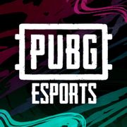 PUBG Esports