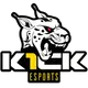 k1ck eSports