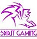 Spirit Gamin