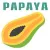 PAPAYA TEAM