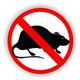 No Rats