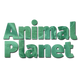 Animal Plane