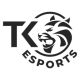 Team TK