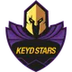 Keyd Stars