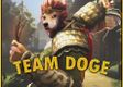 Team Doge