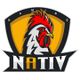 Nativ Gaming